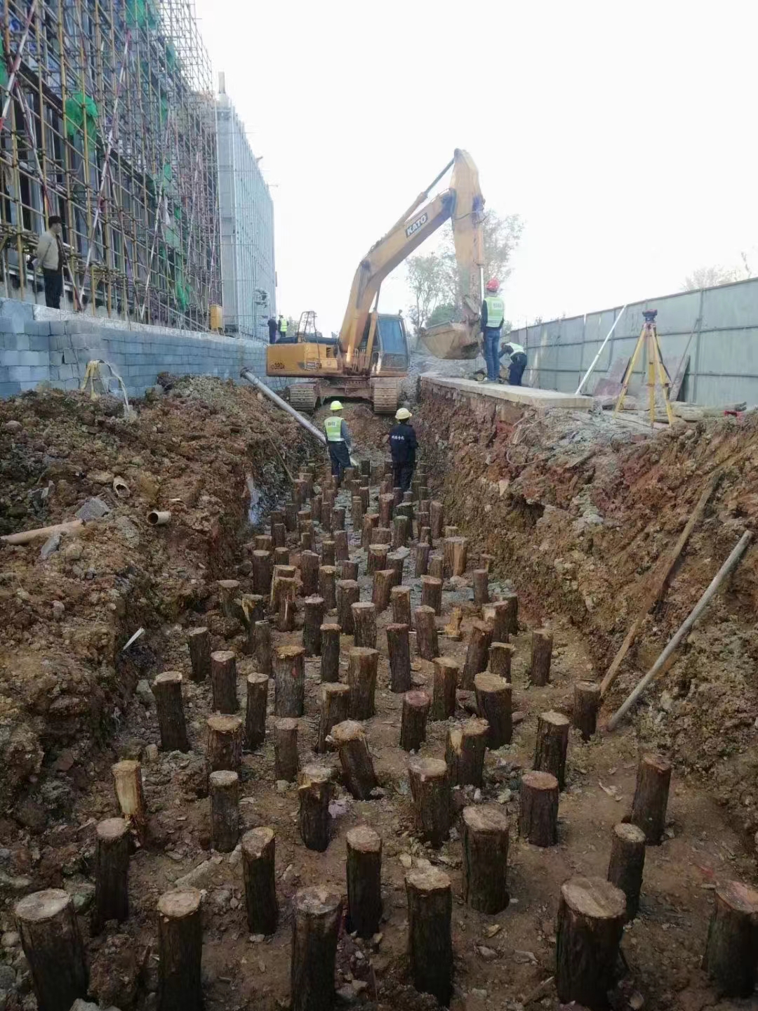 別墅庭院圍墻基礎松木樁地基處理施工方案